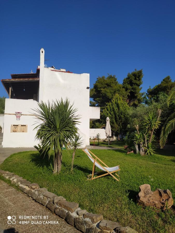 Ferienwohnung Ta Pefka Nikiti  Exterior foto